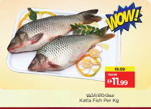 available at نستو هايبرماركت in الإمارات العربية المتحدة , الامارات - ٱلْعَيْن‎