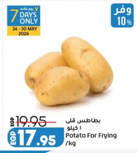 Potato available at لولو هايبرماركت in Egypt - القاهرة