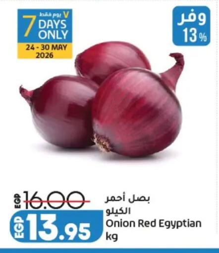 Onion from Egypt available at Lulu Hypermarket  in Egypt - Cairo