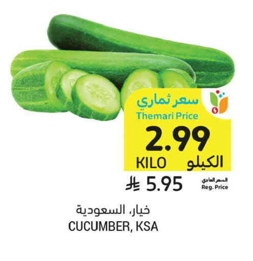 Cucumber available at Tamimi Market in KSA, Saudi Arabia, Saudi - Tabuk