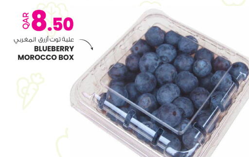 Blueberry BlueBerry from Morocco available at أنصار جاليري in قطر - الضعاين