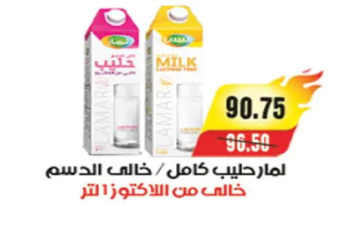 available at A Market in Egypt - Cairo
