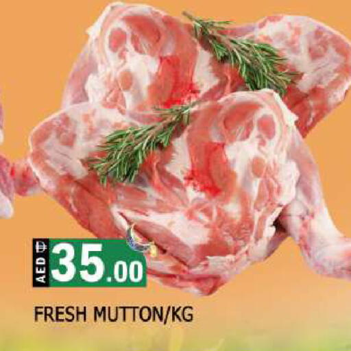 available at AL MADINA in UAE - Sharjah / Ajman