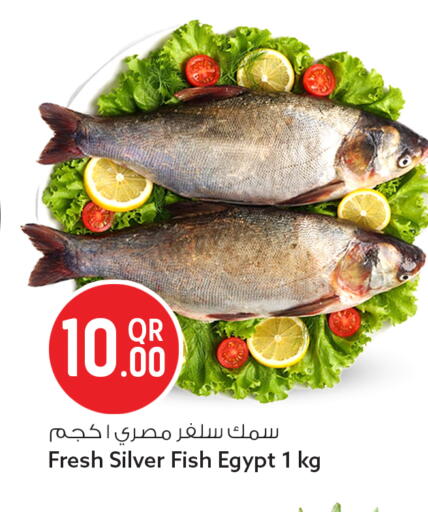 available at سفاري هايبر ماركت in قطر - الوكرة