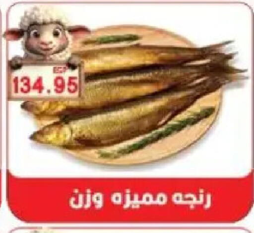 available at Sarhan Market in Egypt - Cairo