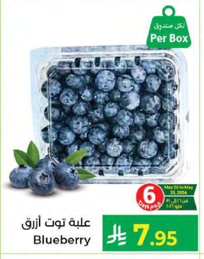 Blueberry BlueBerry available at Kabayan Hypermarket in KSA, Saudi Arabia, Saudi - Jeddah
