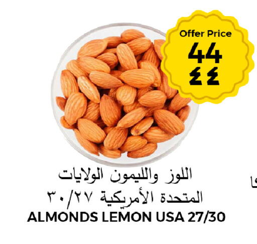 Lemon available at Risala Zahabiya Trading Co. in KSA, Saudi Arabia, Saudi - Al Hasa
