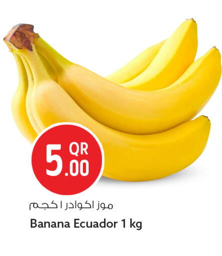 Banana from Ecuador available at Safari Hypermarket in Qatar - Al Rayyan