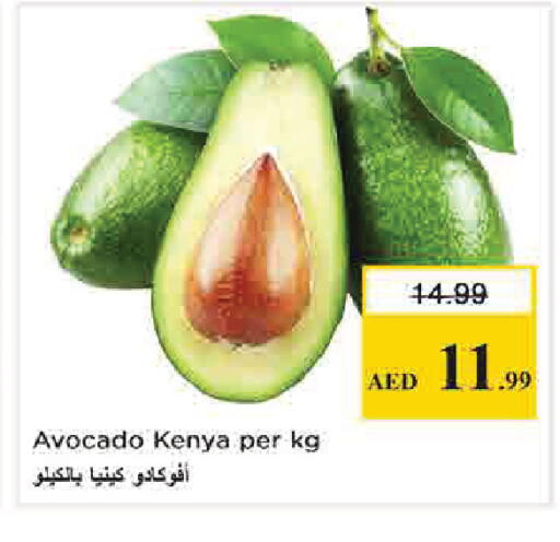 Avocado from Kenya available at Nesto Hypermarket in UAE - Dubai