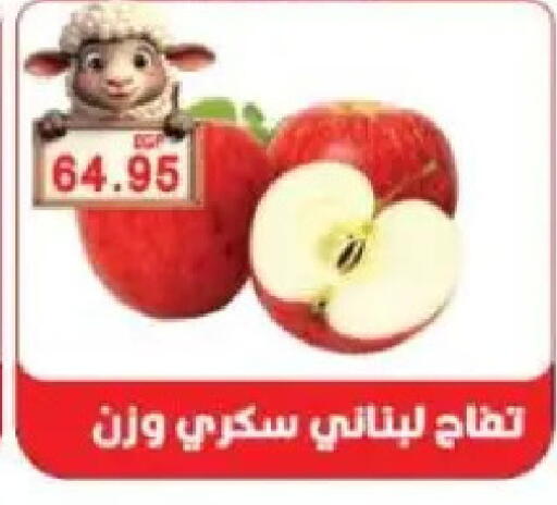 available at Sarhan Market in Egypt - Cairo