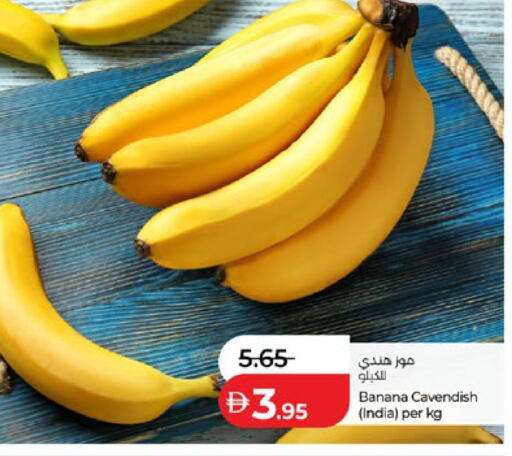 Banana from India available at لولو هايبرماركت in الإمارات العربية المتحدة , الامارات - ٱلْعَيْن‎