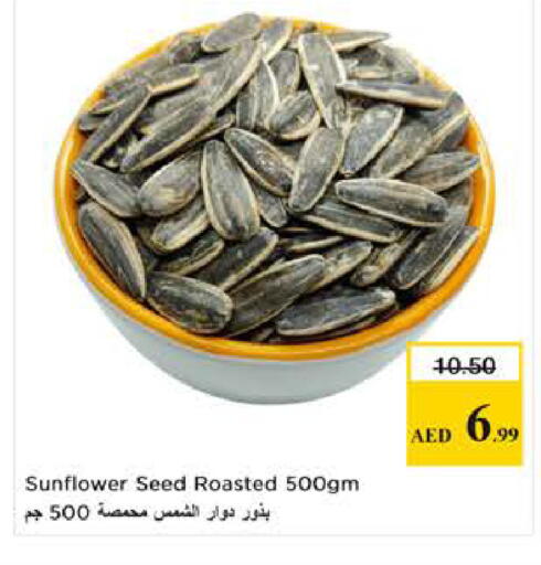 available at لاست تشانس in الإمارات العربية المتحدة , الامارات - ٱلْفُجَيْرَة‎