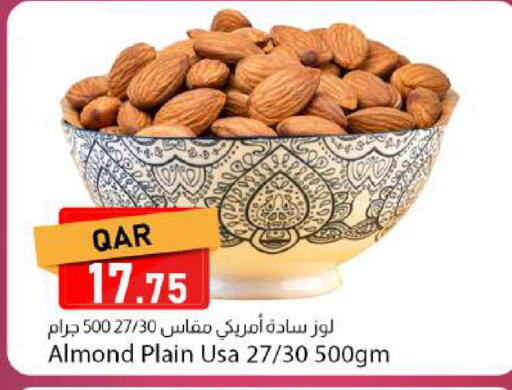 available at Dana Market in Qatar - Al Shamal
