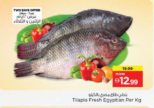 available at نستو هايبرماركت in الإمارات العربية المتحدة , الامارات - ٱلْعَيْن‎
