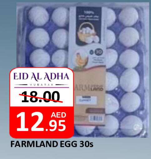 available at رويال جلف هايبرماركت in الإمارات العربية المتحدة , الامارات - أبو ظبي