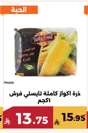 available at حدائق الفرات in مملكة العربية السعودية, السعودية, سعودية - مكة المكرمة