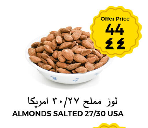 available at Risala Zahabiya Trading Co. in KSA, Saudi Arabia, Saudi - Al Hasa