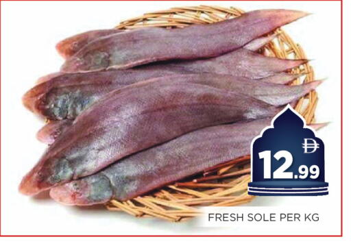 available at اينس المدينة هايبرماركت in الإمارات العربية المتحدة , الامارات - الشارقة / عجمان