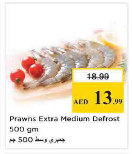 available at نستو هايبرماركت in الإمارات العربية المتحدة , الامارات - دبي