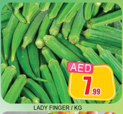 available at لكي سنتر in الإمارات العربية المتحدة , الامارات - الشارقة / عجمان