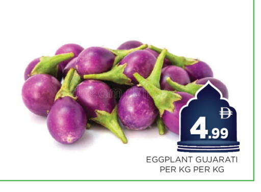 Eggplant available at اينس المدينة هايبرماركت in الإمارات العربية المتحدة , الامارات - الشارقة / عجمان