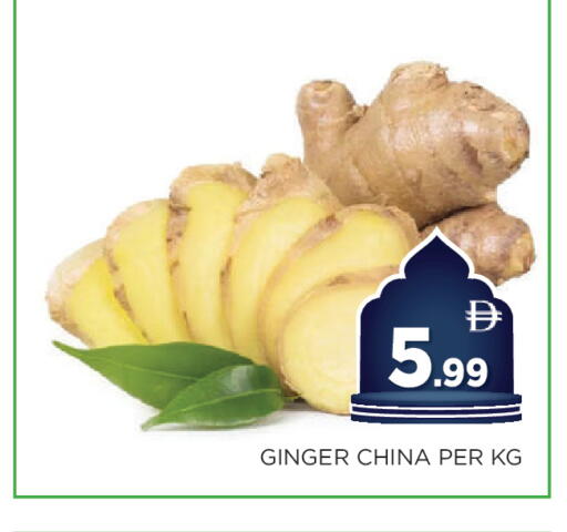 Ginger from China available at اينس المدينة هايبرماركت in الإمارات العربية المتحدة , الامارات - الشارقة / عجمان