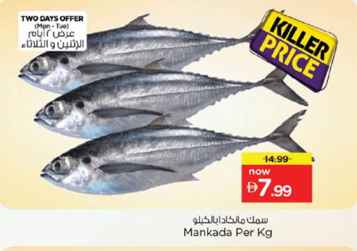 available at نستو هايبرماركت in الإمارات العربية المتحدة , الامارات - ٱلْعَيْن‎