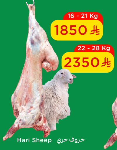 available at وهج مارت in مملكة العربية السعودية, السعودية, سعودية - جدة