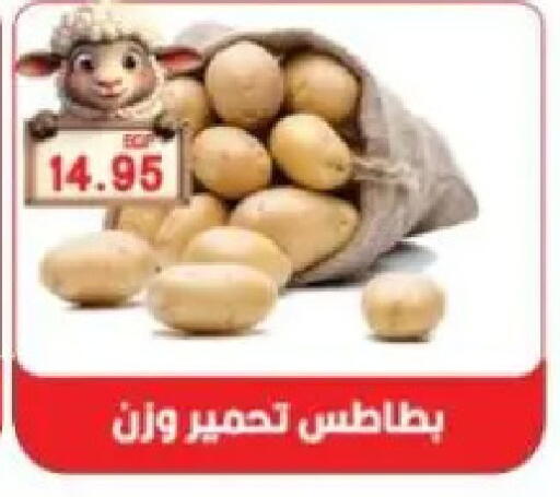 available at Sarhan Market in Egypt - Cairo