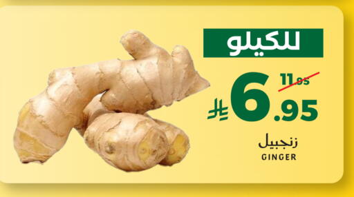 Ginger available at ميرا مارت مول in مملكة العربية السعودية, السعودية, سعودية - جدة