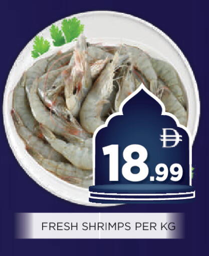 available at اينس المدينة هايبرماركت in الإمارات العربية المتحدة , الامارات - الشارقة / عجمان