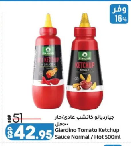 Tomato available at Lulu Hypermarket  in Egypt - Cairo