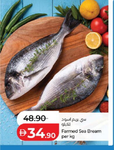 available at لولو هايبرماركت in الإمارات العربية المتحدة , الامارات - ٱلْعَيْن‎