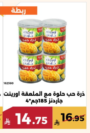 available at حدائق الفرات in مملكة العربية السعودية, السعودية, سعودية - مكة المكرمة