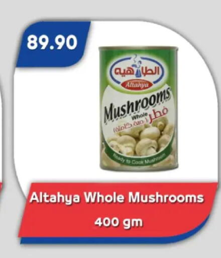Mushroom available at Bassem Market in Egypt - Cairo