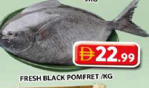 available at Grand Hyper Market in UAE - Sharjah / Ajman