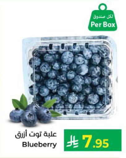 Blueberry BlueBerry available at Kabayan Hypermarket in KSA, Saudi Arabia, Saudi - Yanbu