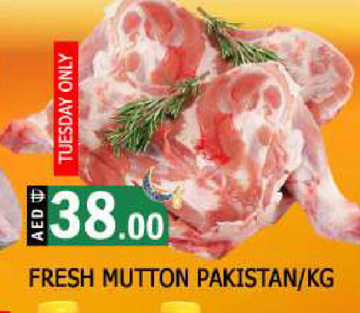 available at AL MADINA in UAE - Sharjah / Ajman