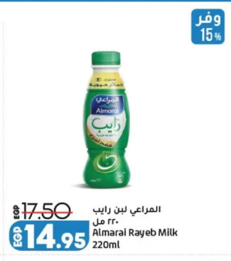 available at Lulu Hypermarket  in Egypt - Cairo