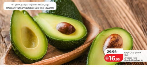 Avocado from South Africa available at لولو هايبرماركت in الإمارات العربية المتحدة , الامارات - ٱلْعَيْن‎