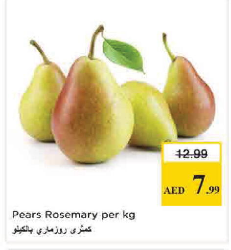 Rosemary available at Nesto Hypermarket in UAE - Dubai