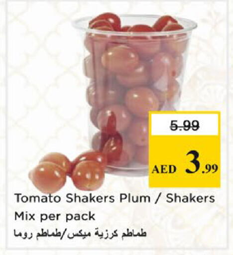 Plum Tomato available at Nesto Hypermarket in UAE - Dubai
