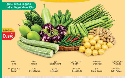 Mango Okra Eggplant Green chilli Potato from India available at City Hypermarket in Kuwait - Ahmadi Governorate