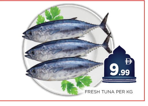available at اينس المدينة هايبرماركت in الإمارات العربية المتحدة , الامارات - الشارقة / عجمان