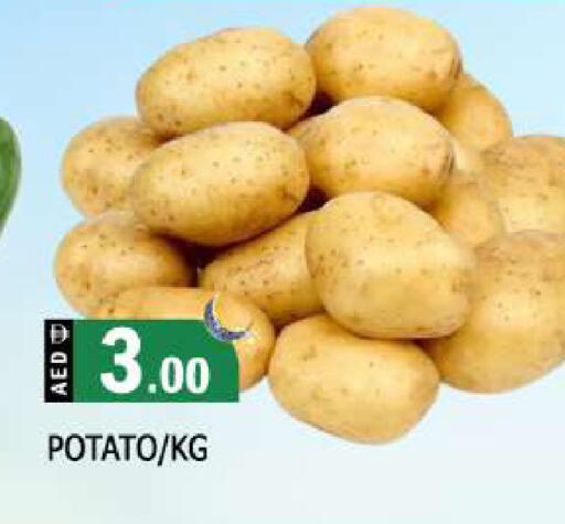 Potato available at AL MADINA in UAE - Sharjah / Ajman