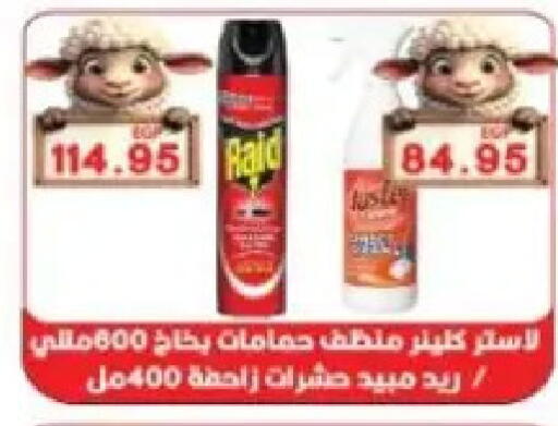 available at Sarhan Market in Egypt - Cairo