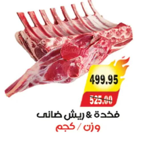available at A Market in Egypt - Cairo
