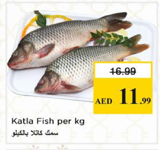 available at نستو هايبرماركت in الإمارات العربية المتحدة , الامارات - دبي