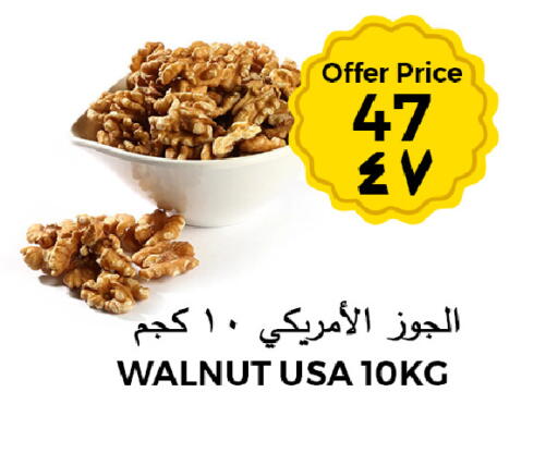 available at Risala Zahabiya Trading Co. in KSA, Saudi Arabia, Saudi - Al Hasa