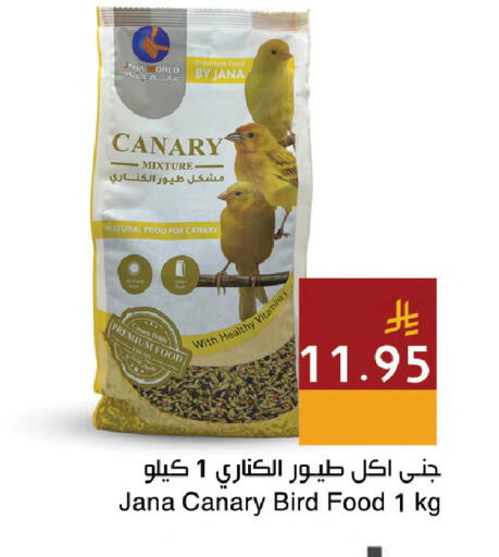 available at اسواق هلا in مملكة العربية السعودية, السعودية, سعودية - جدة